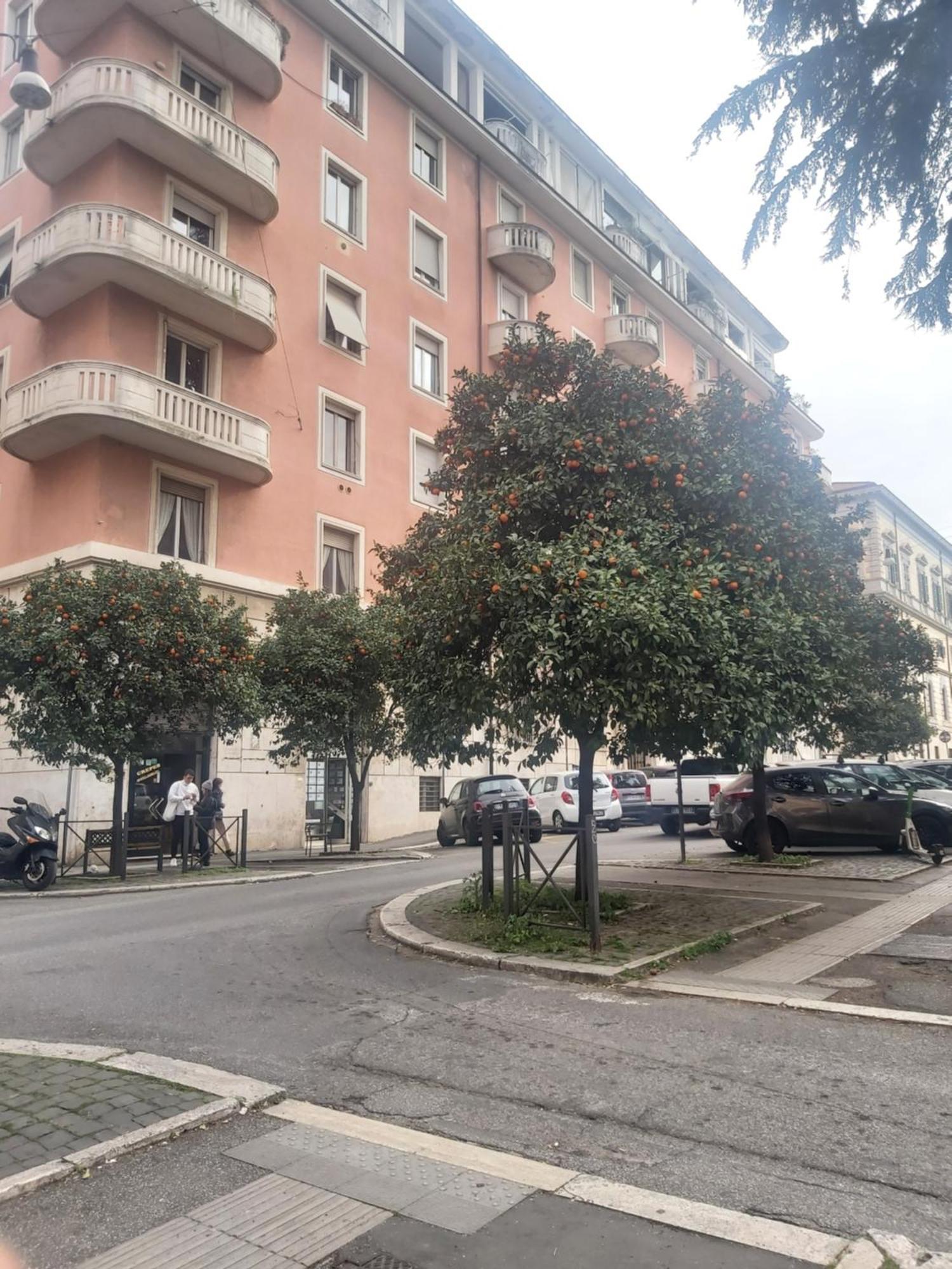Holiday Colosseum Rome Bed and Breakfast Exteriör bild